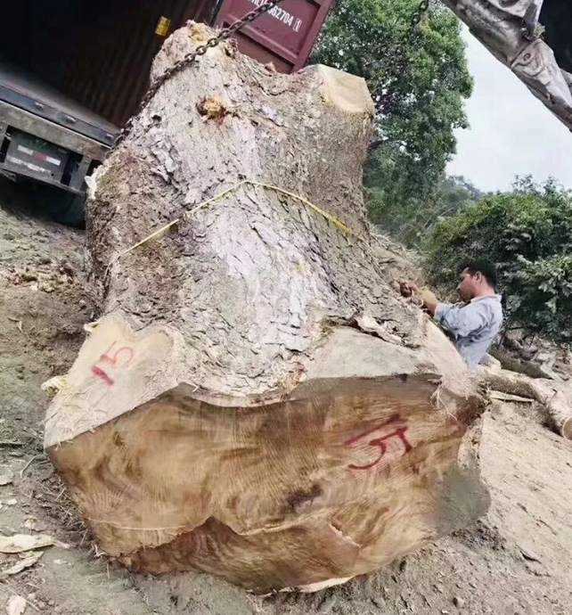 南美胡桃木大板的优缺点 南美胡桃木大板的优缺点