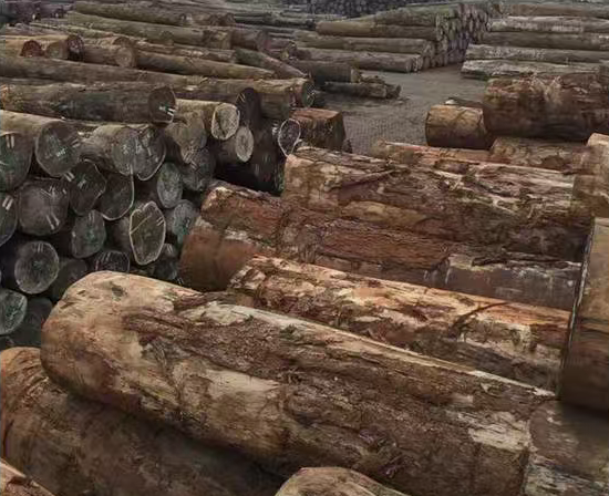 实木大板是怎样制成的(2)