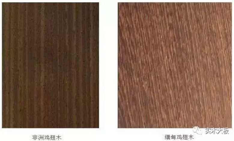 非洲鸡翅木和缅甸鸡翅木区别 非洲鸡翅木和缅甸鸡翅木区别