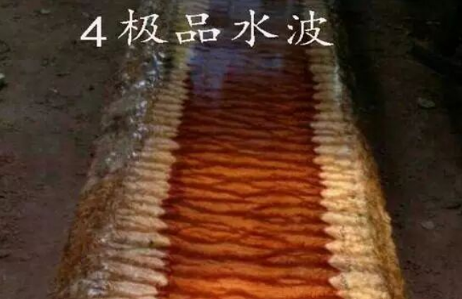 水波纹